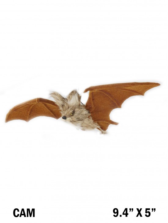 Bat, Small, Wall Hanging